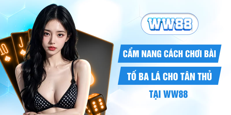 Cẩm Nang Cách Chơi Bài Tố Ba Lá Cho Tân Thủ Tại WW88